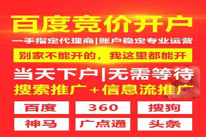 企业SEM托管服务成功案例分享